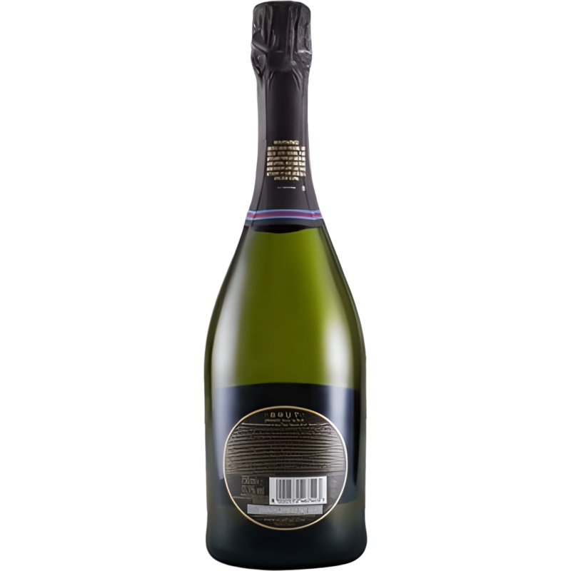 Ақ көпіршікті құрғақ шарап Martini Brut 0,75л
